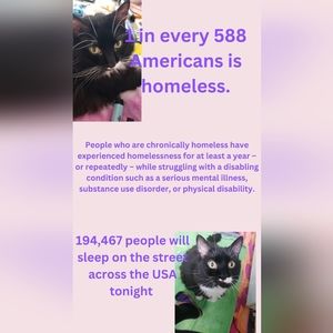 Fundraising Flyer